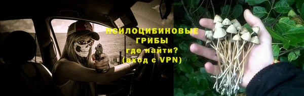 трава Шадринск